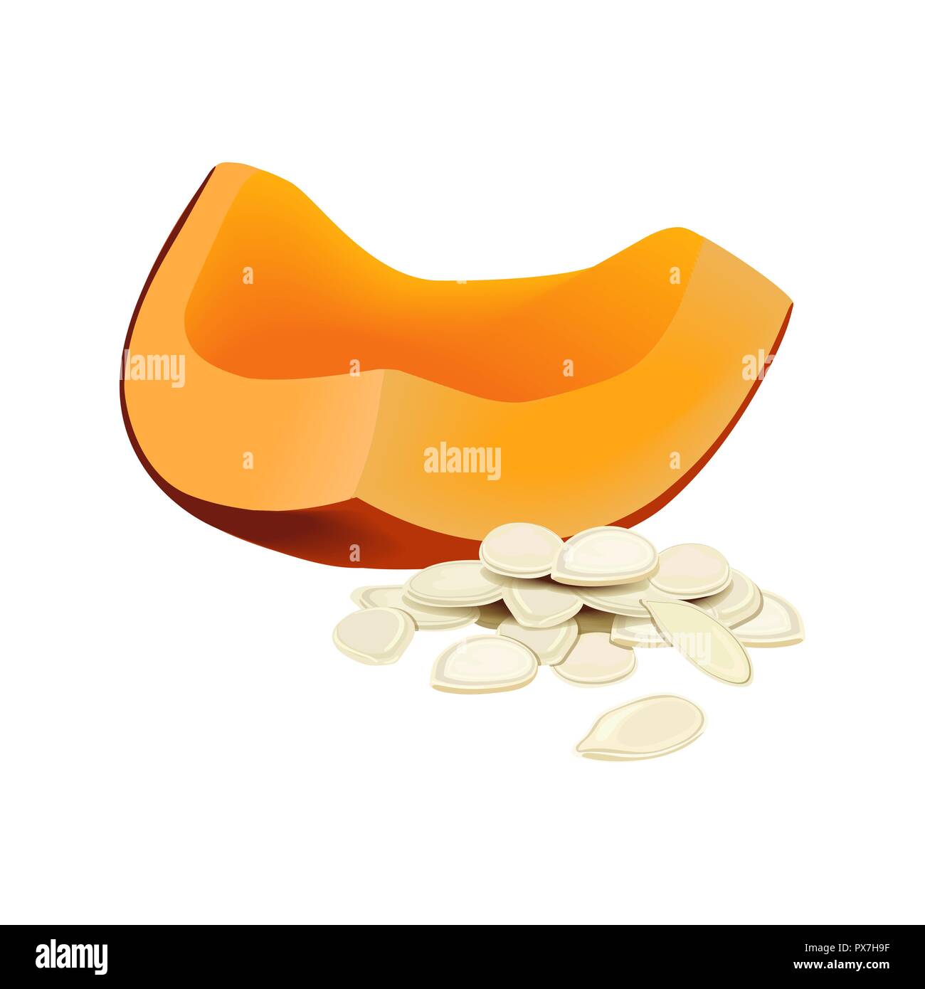 Pumpkin and seeds or pepitas, isolated on white background. Top view. Flat lay. Vector illustration. For food desing, cosmetics, Herbal and alternativ Stock Vector