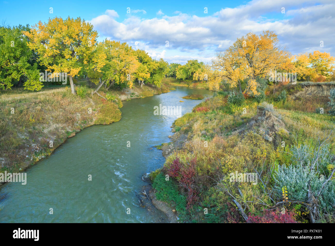 fall colors along the milk river below nelson reservoir near saco