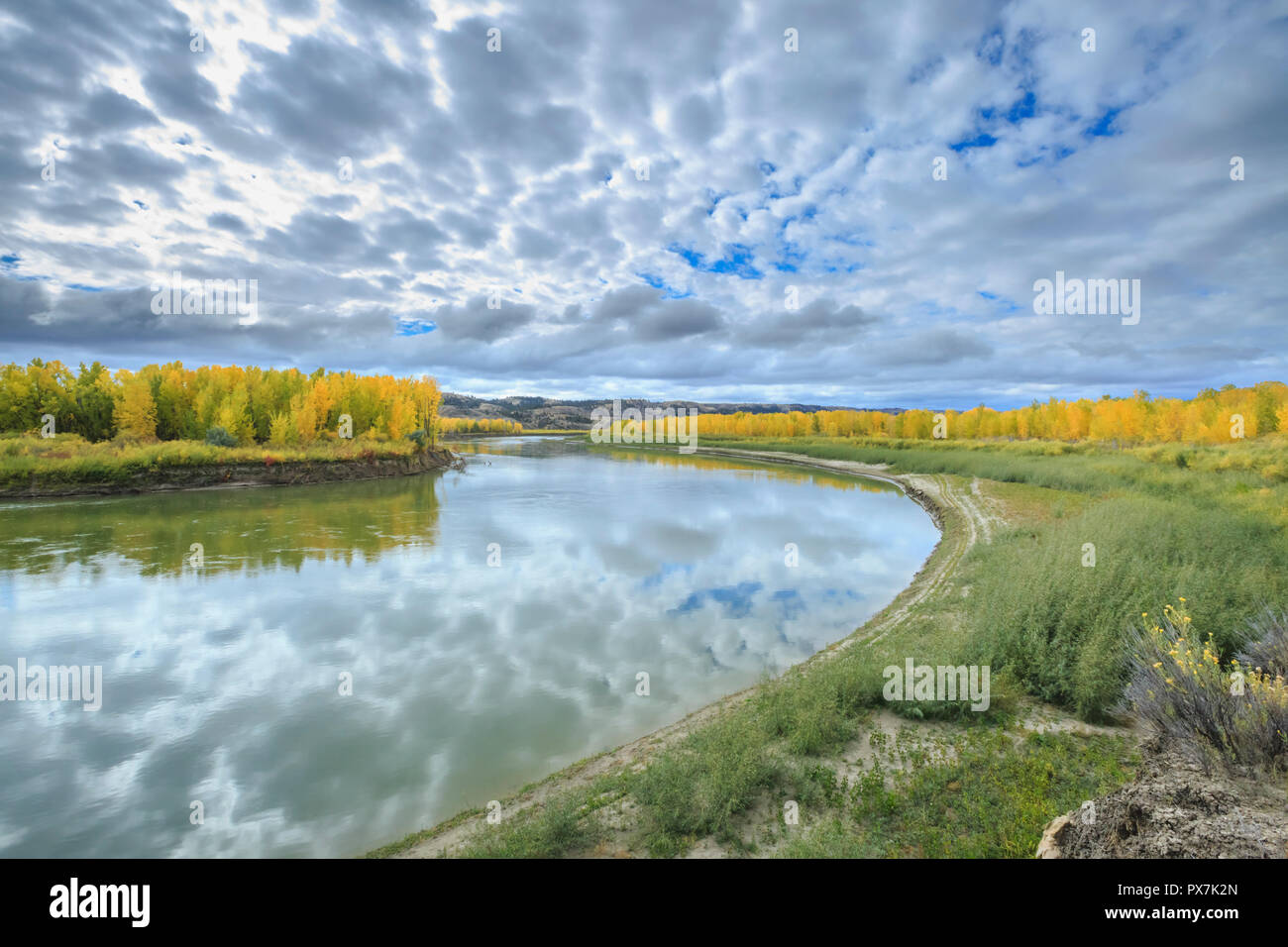 fall colors along the missouri river in the c.m. russell national wildlife refuge near landusky, montana Stock Photo
