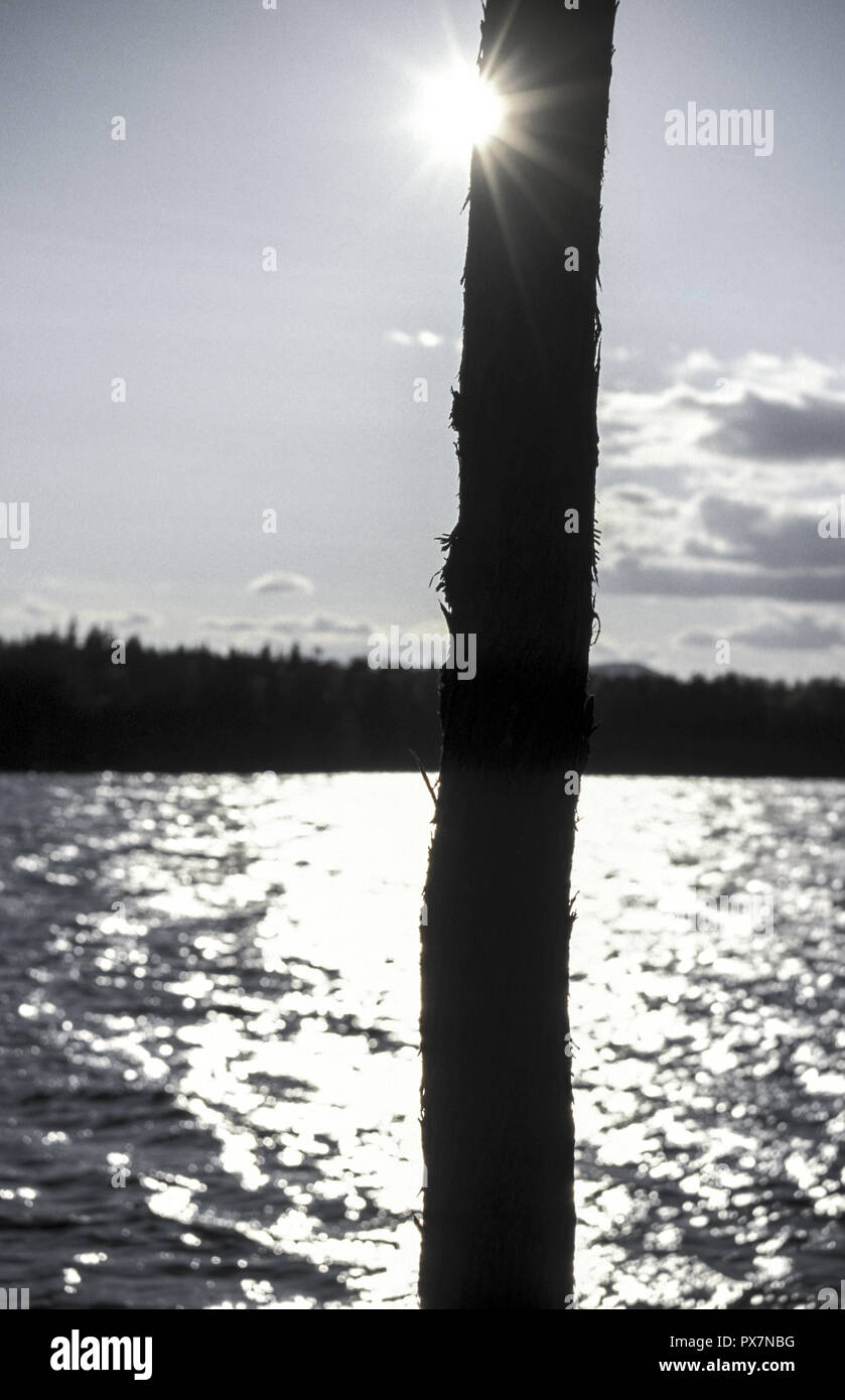 Lake, United States, Maine, Dead River Area Stock Photo Alamy