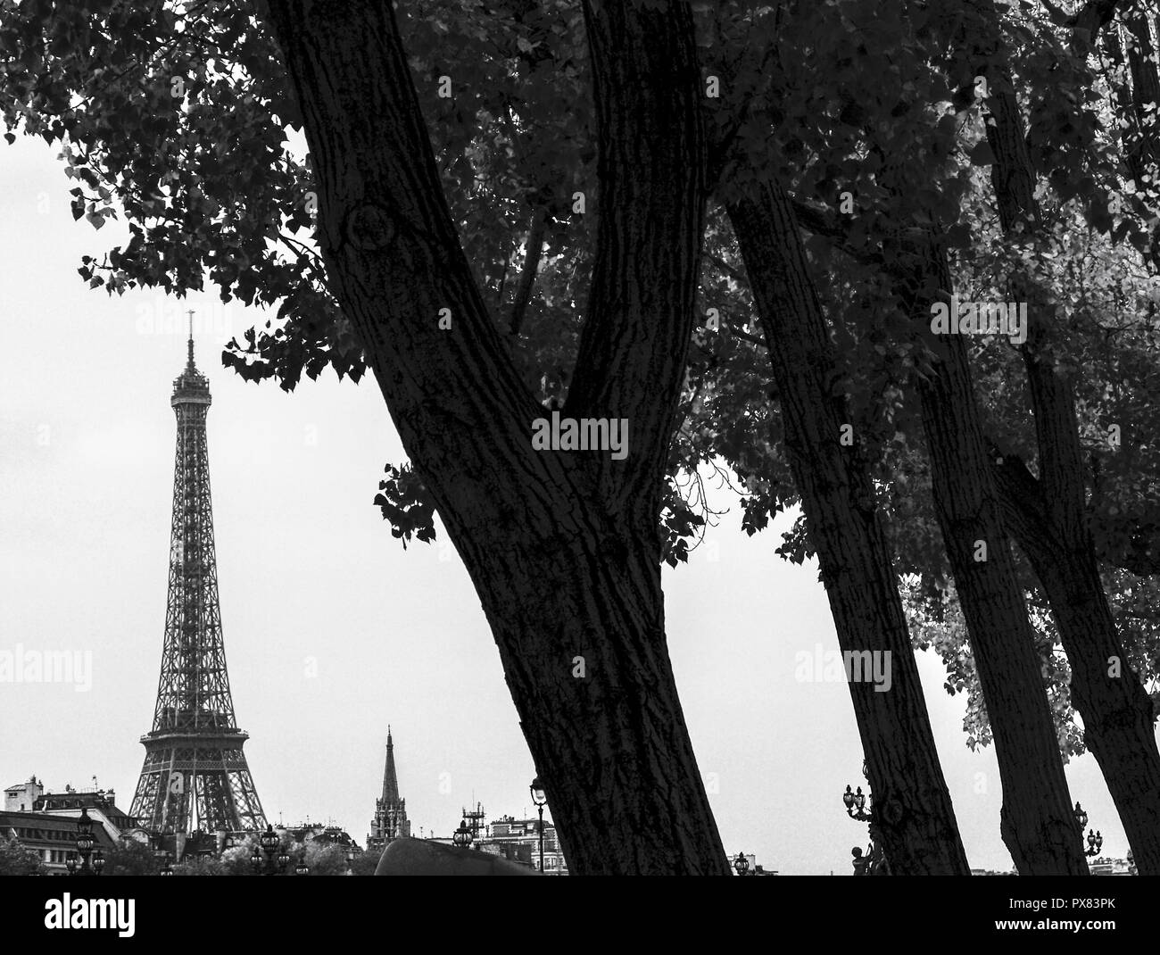 Paris, Eiffel Tower, Tour Eiffel, France Stock Photo