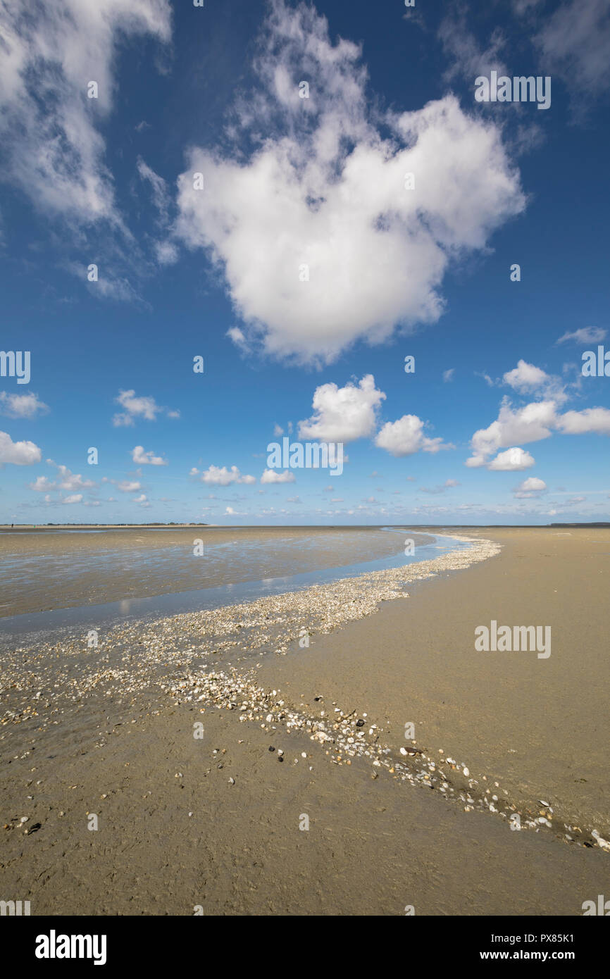 Litlle river flowing on the beach into sea, Somme Bay, Picardy, France Stock Photo