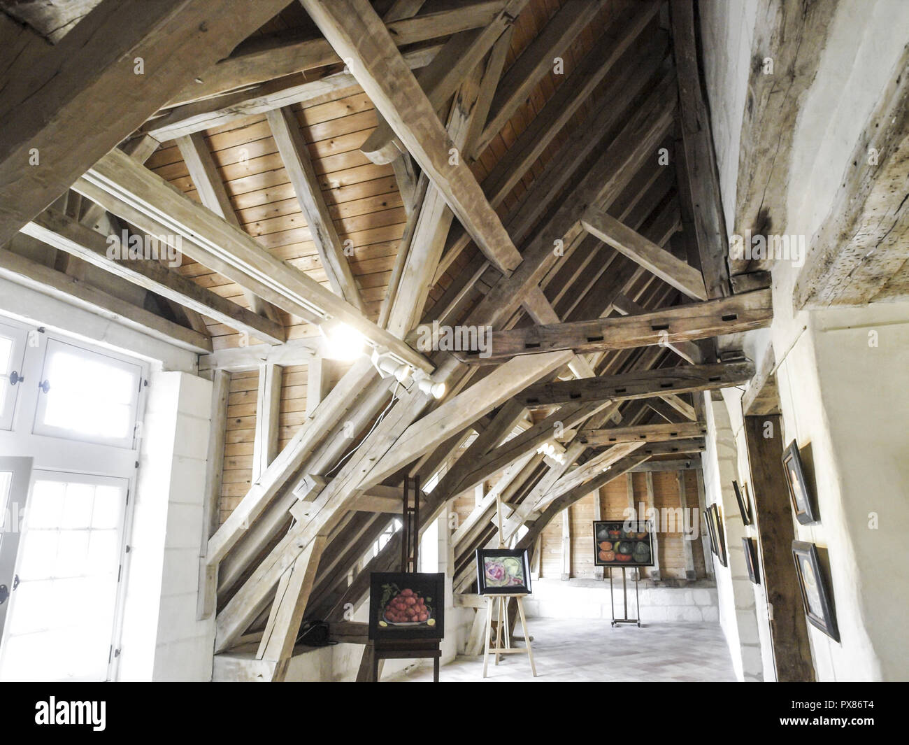 Chateau et Jardins de Villandry, IndreetLoire, roof, France, Loire