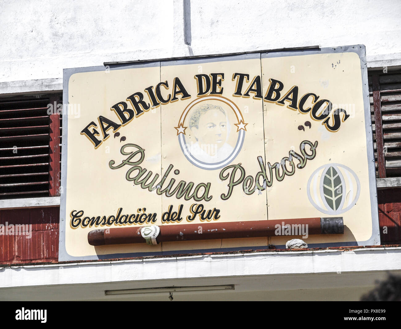 Tobacco plant, Cuba Stock Photo