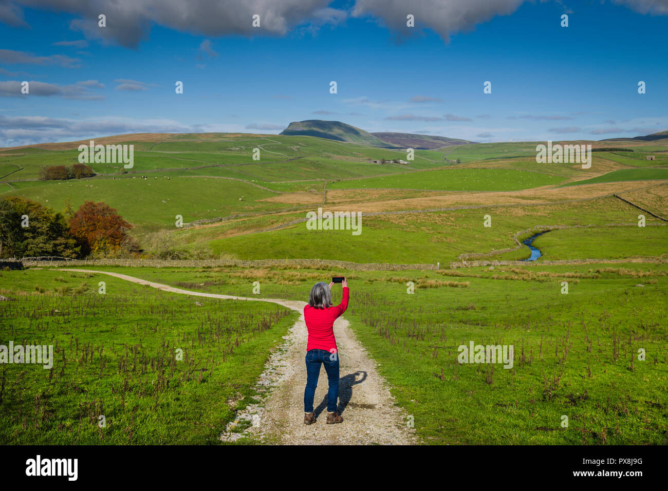 Mature woman alone walking park hi-res stock photography and images - Alamy