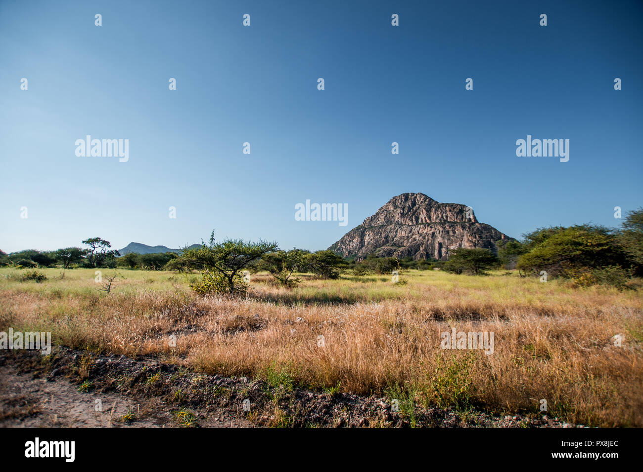 A view of the male hill at Tsodilo Hills, a UNESCO world heritage site featuring ancient San rock paintings. Pictured amid grassy and arid plains Stock Photo