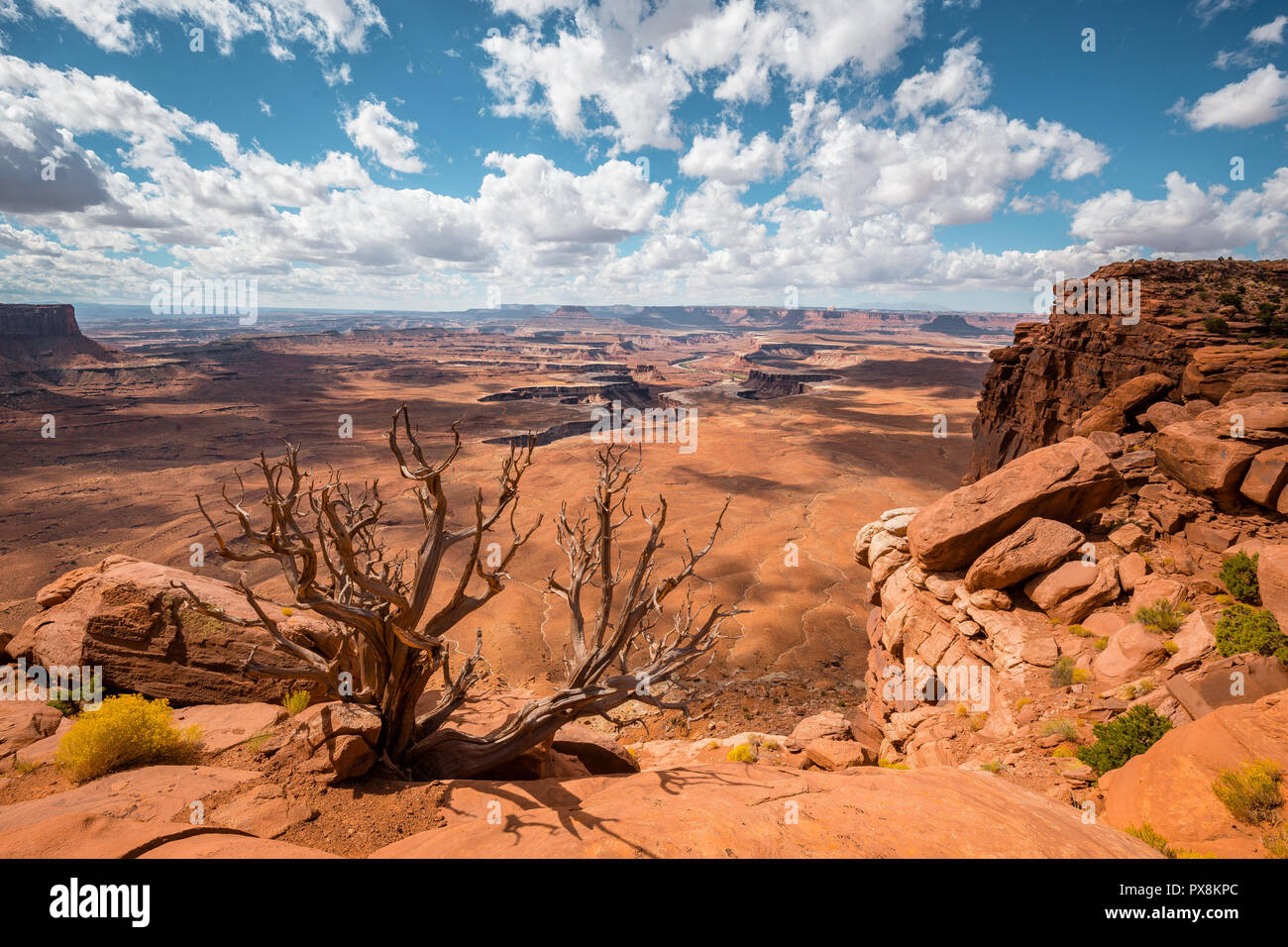 Scenic Green River overlook with dramatic clouds and blue sky on a sunny day in beautiful Canyonlands National Park, Utah, USA Stock Photo