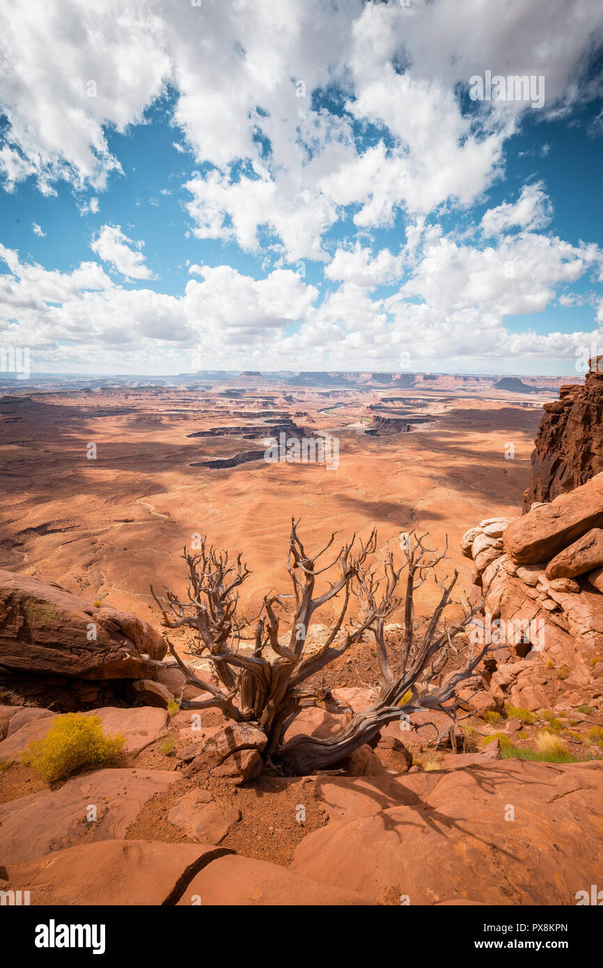 Scenic Green River overlook with dramatic clouds and blue sky on a sunny day in beautiful Canyonlands National Park, Utah, USA Stock Photo