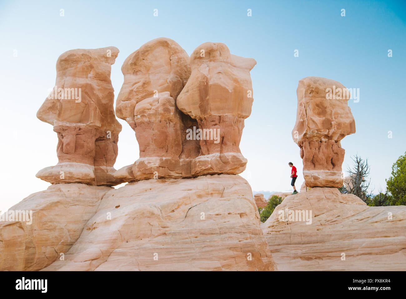 Beautiful view of male hiker standing between amazing Four Hoodoos sandstone formations in Devil's Garden in beautiful evening light at sunset, Grand  Stock Photo