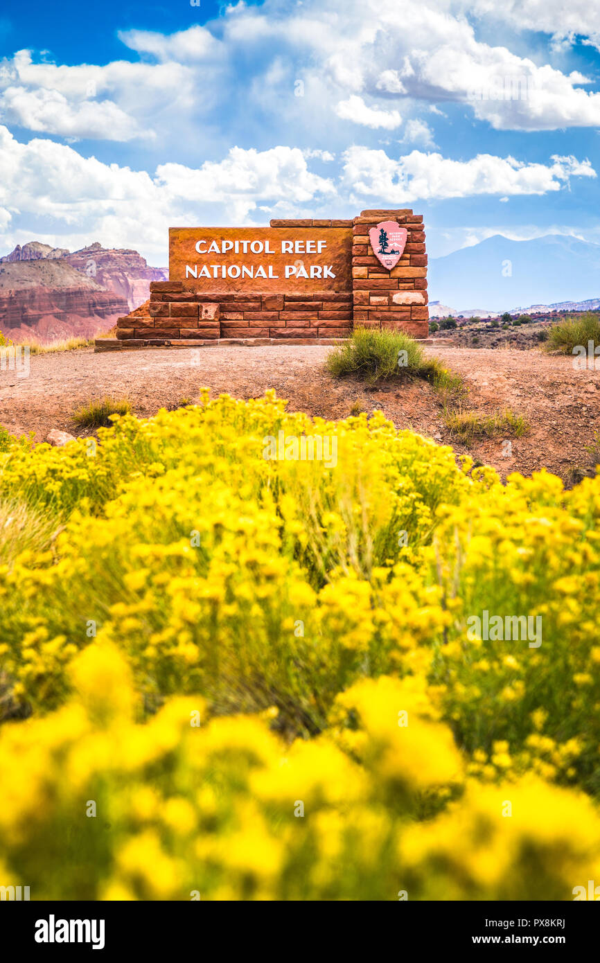 Beautiful view of Capitol Reef National Park entrance sign with blooming wildflowers in summer, central Utah, USA Stock Photo