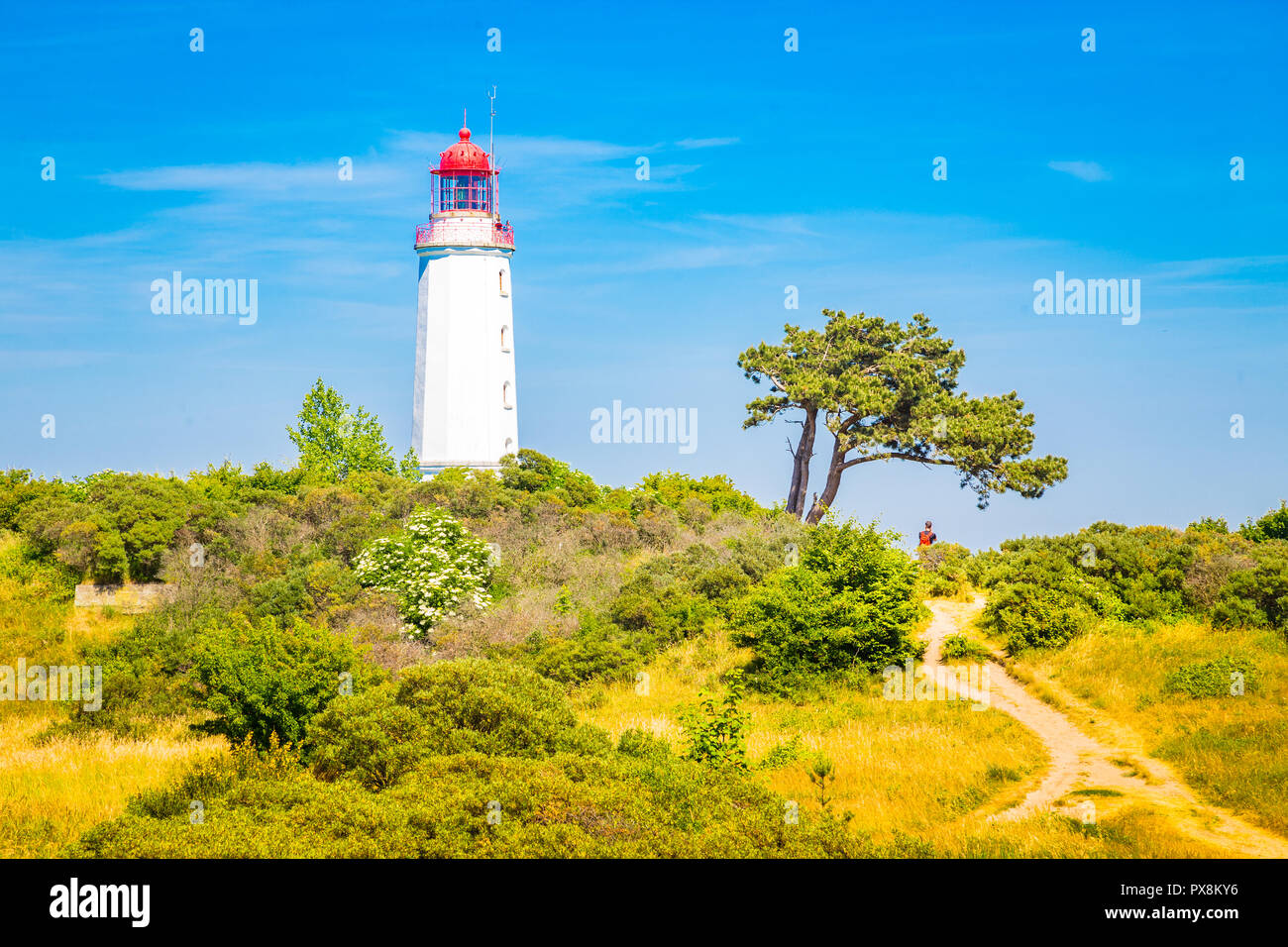 Classic view of famous Lighthouse Dornbusch on the beautiful island Hiddensee with blooming flowers in summer, Baltic Sea, Mecklenburg-Vorpommern, Ger Stock Photo