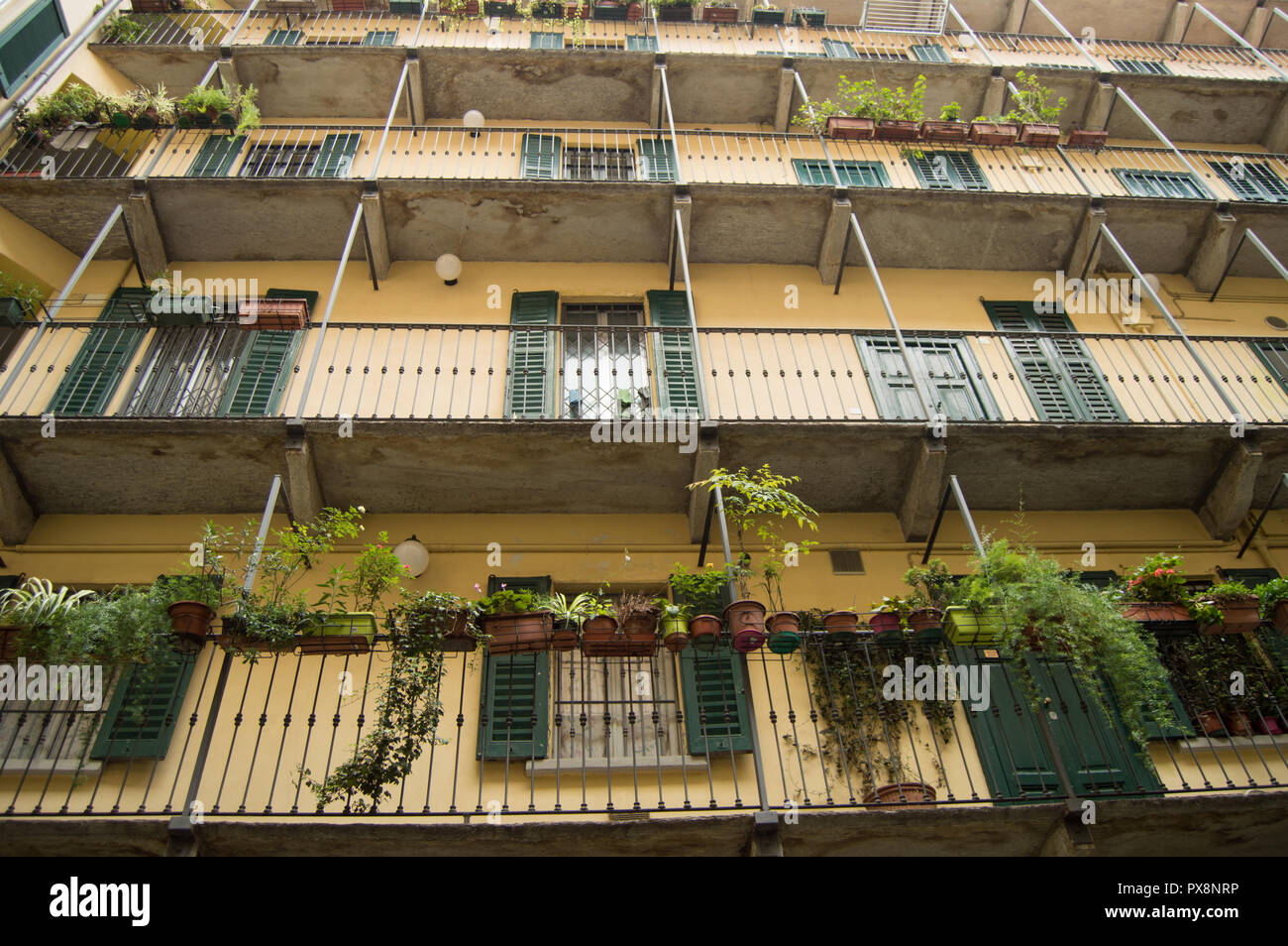 Traditional Italian homes with shutter window, balconies, flowers