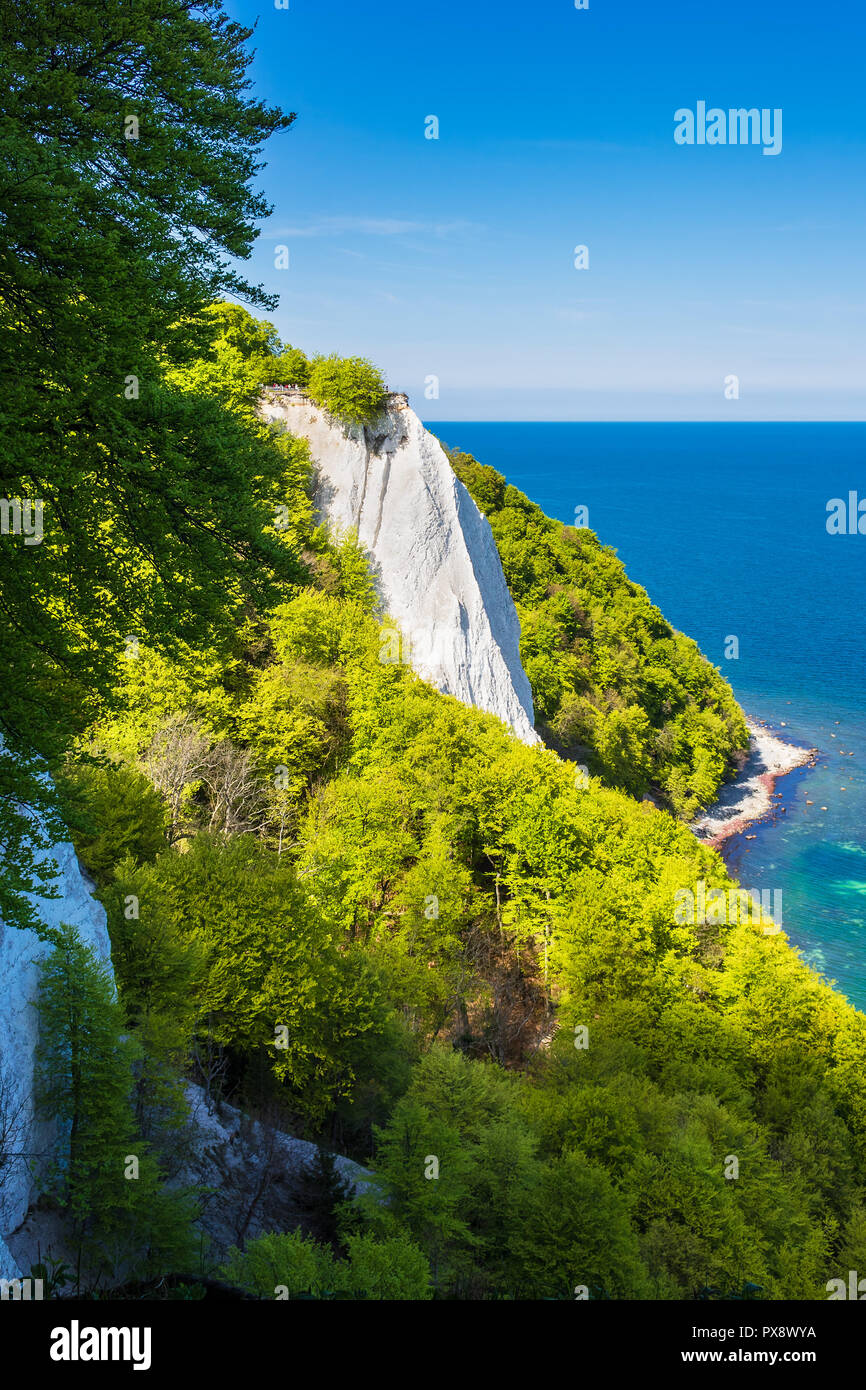Chalk cliff on the island Ruegen in Germany Stock Photo Alamy