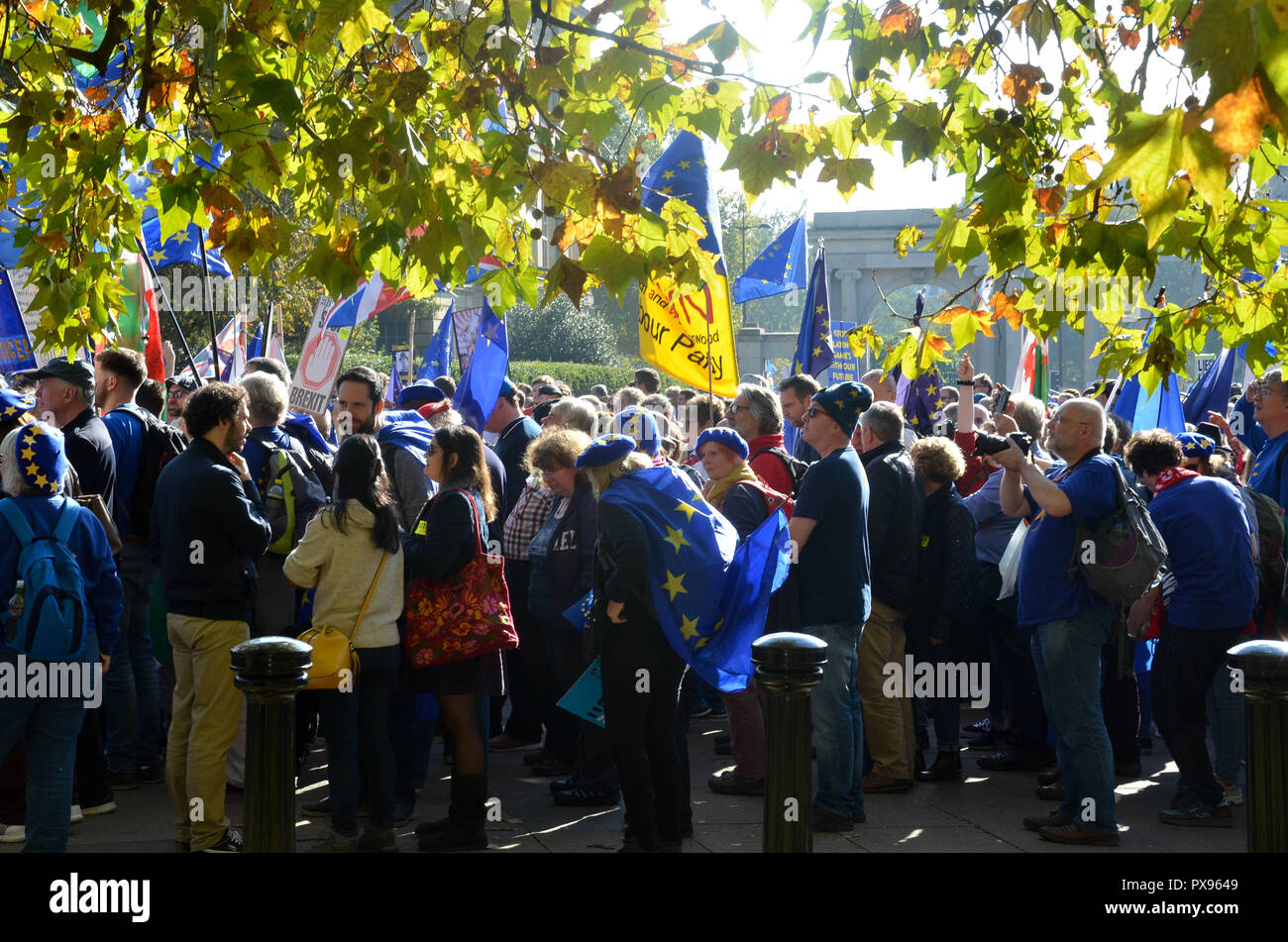 London, UK. 20th Oct, 2018. Protestors gather on Hyde Park Corner, ‘March for the Future', rally calling for a second EU referendum on Brexit organised by the People's Vote campaign, London, 20 October 2018 Credit: Robert Smith/Alamy Live News Stock Photo