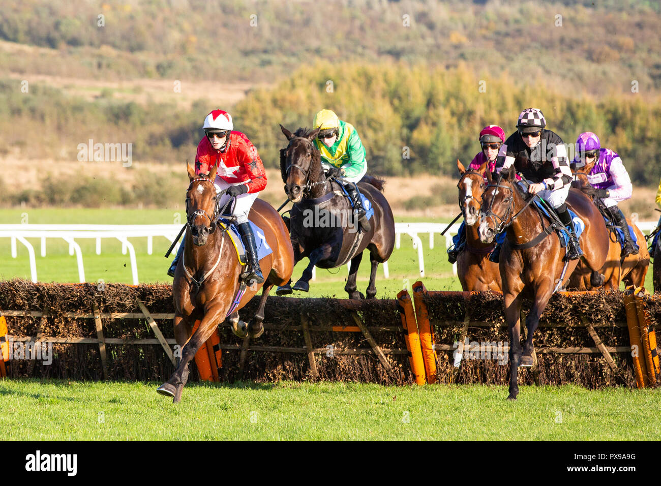 The New One (jockey Zac Baker)  (L) leads the field in the 2018 Dunraven Group Welsh Champion Hurdle at Ffos Las racecourse, Carmarthenshire, Wales Stock Photo