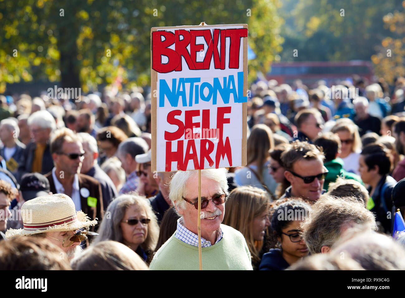 London, UK. 20th Oct, 2018. A placard critical of Brexit held aloft at the People's Vote march. Credit: Kevin J. Frost/Alamy Live News Stock Photo