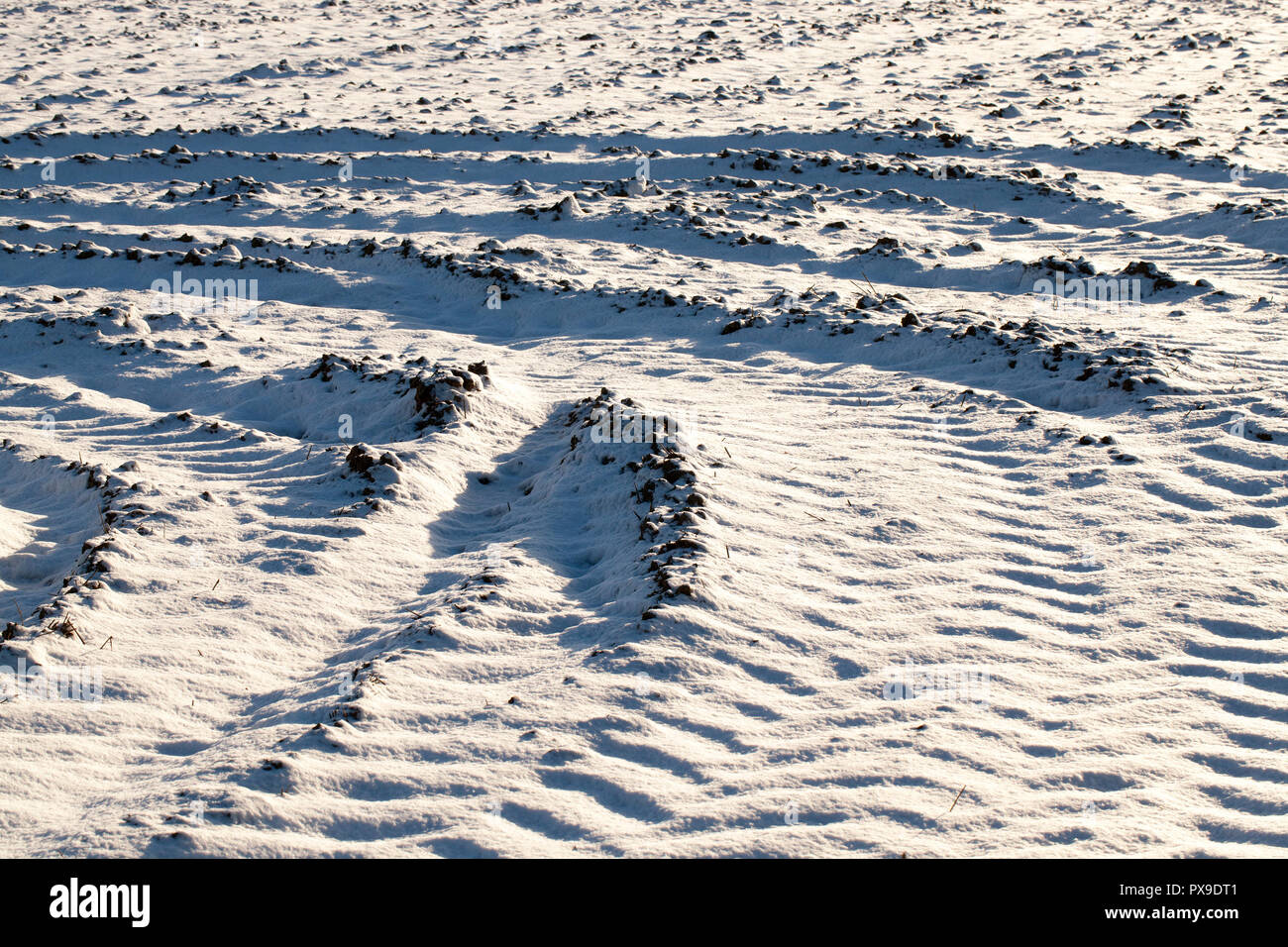 ruts from the movement of cars on a field covered with snow, winter Stock Photo