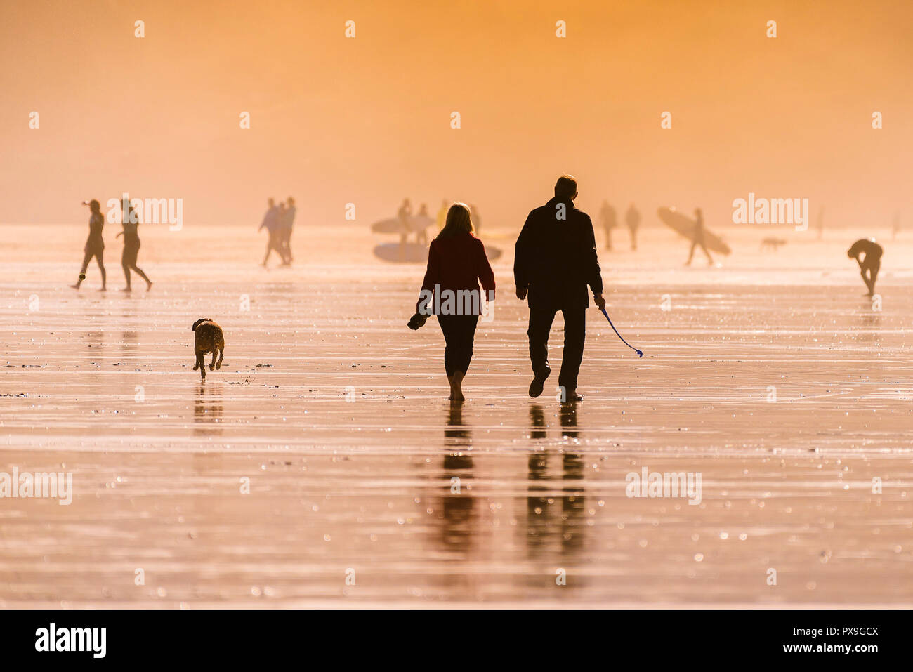 People walking their dog on Fistral Beach in late evening light. Stock Photo