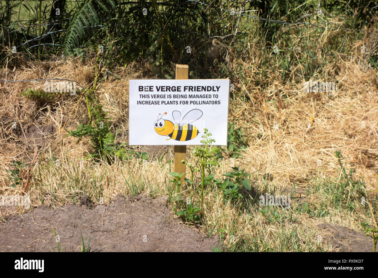A sign making people aware the roadside grass verge is Bee friendly Stock Photo