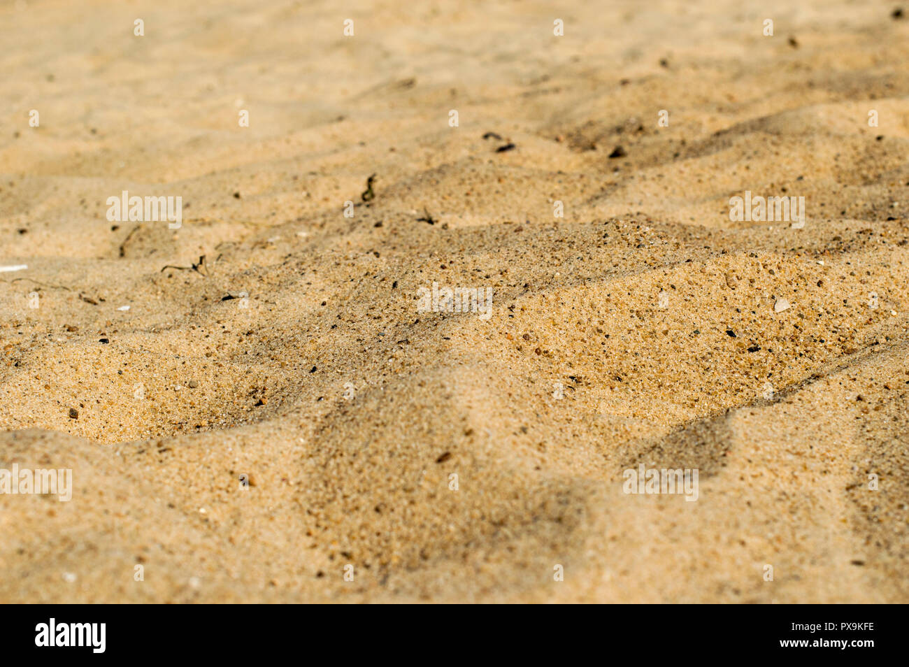 Volga river. Summer, sunny day. The wave rushes to the sandy beach. Foam and bubbles. Close-up. Russia. Stock Photo