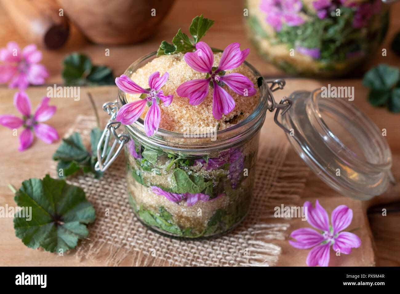 Preparation of herbal syrup against cough from wild common mallow flowers, leaves and cane sugar Stock Photo