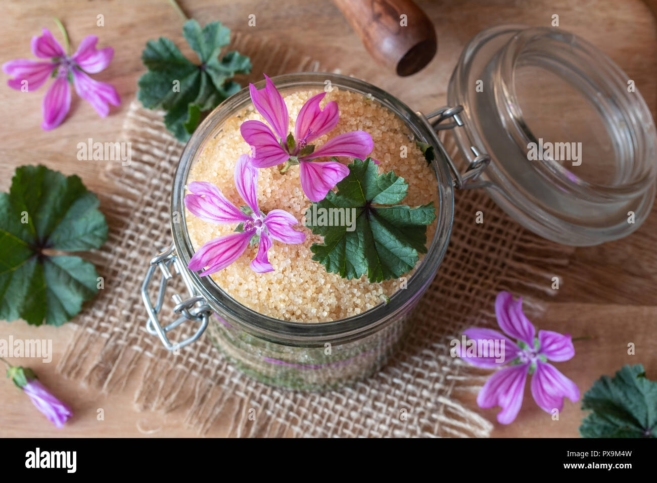 Preparation of herbal syrup against cough from wild common mallow flowers, leaves and cane sugar Stock Photo