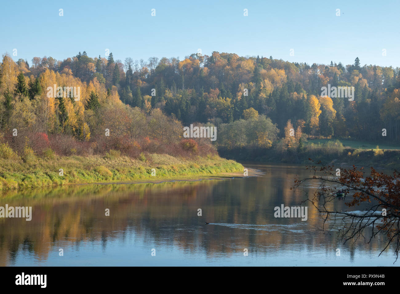 Bend river green trees hi-res stock photography and images - Alamy