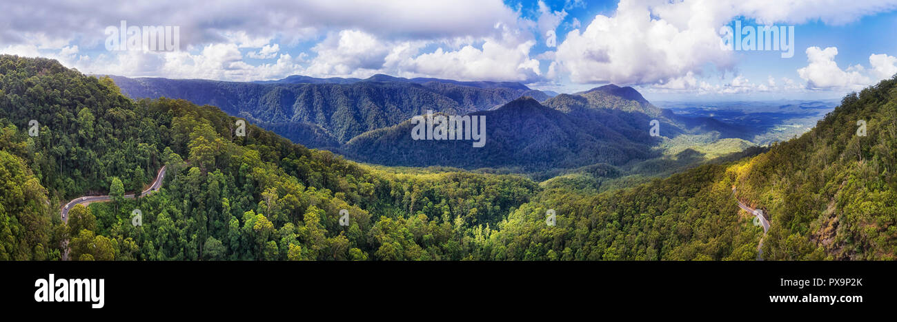 Evergreen ancient Gondwana aged rainforest in Dorrigo National park covered by thick gum-tree woods between mountain ranges along Waterfall road on a  Stock Photo