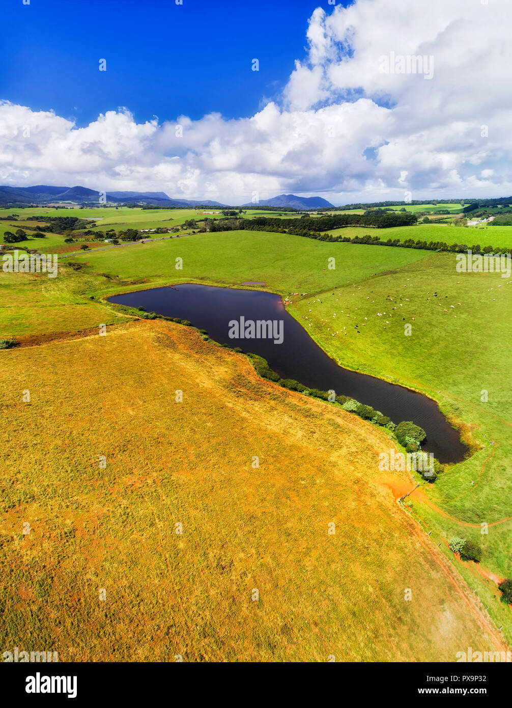 Green lush pastures for cattle around waterpit along a creek between small hills in regional argicultural NSW of Australia around Dorrigo town. Stock Photo