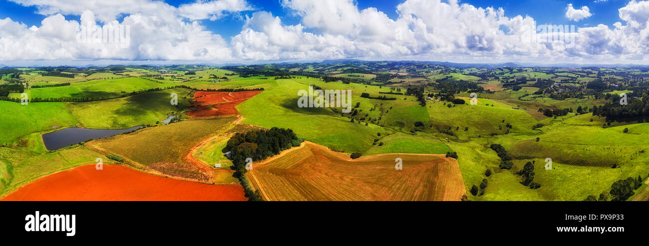Cultivated lush green agricultural fields and pastures in Australia around local regional town Dorrigo - red australian soil and cattle production. Stock Photo