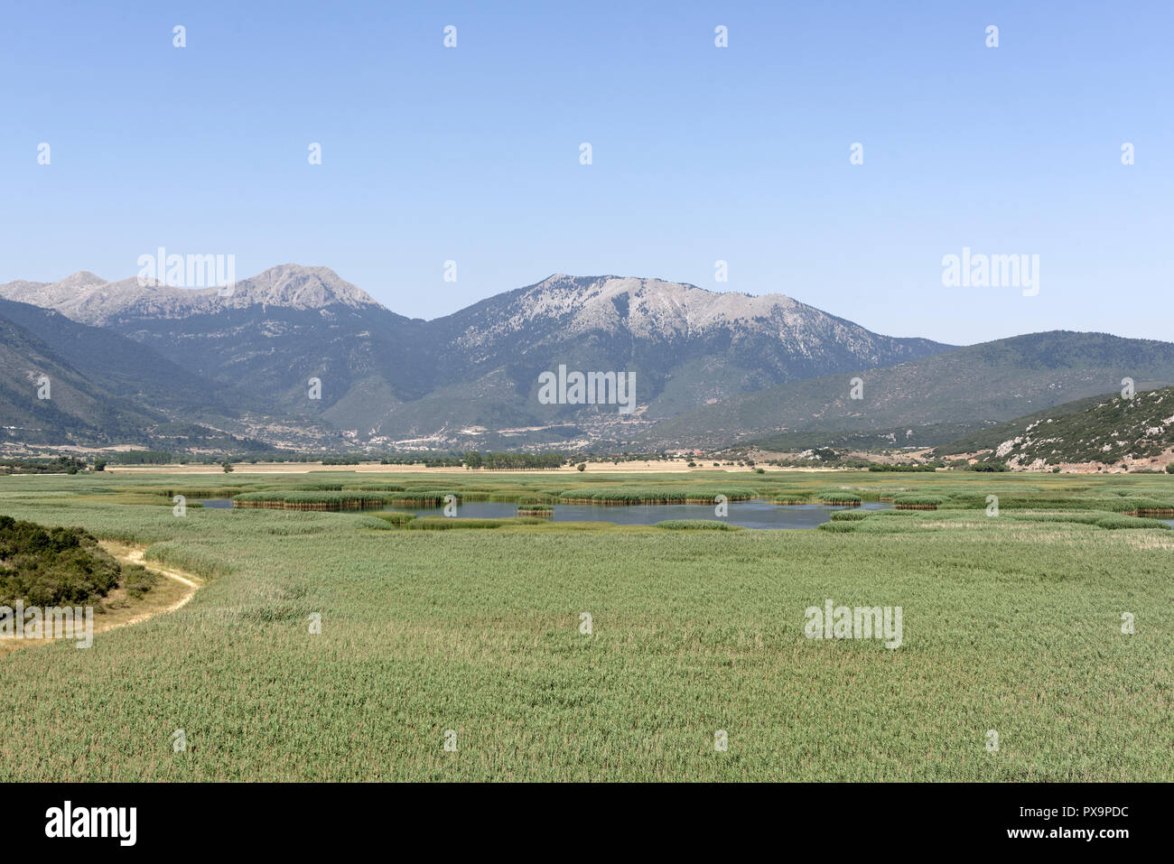 Mountainous landscapes surrounded Lake Stymphalia, which is filled with dense reeds in the summer, Peloponnese, Greece. Famous in myth as the site whe Stock Photo