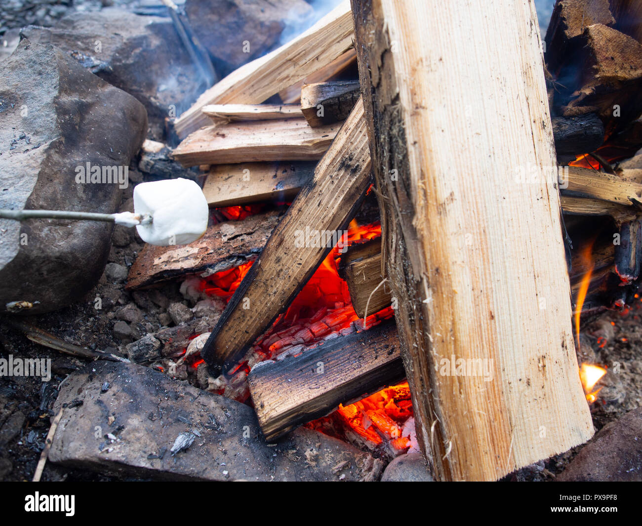 Toasting Marshmallows On A Fire Stock Photo Alamy