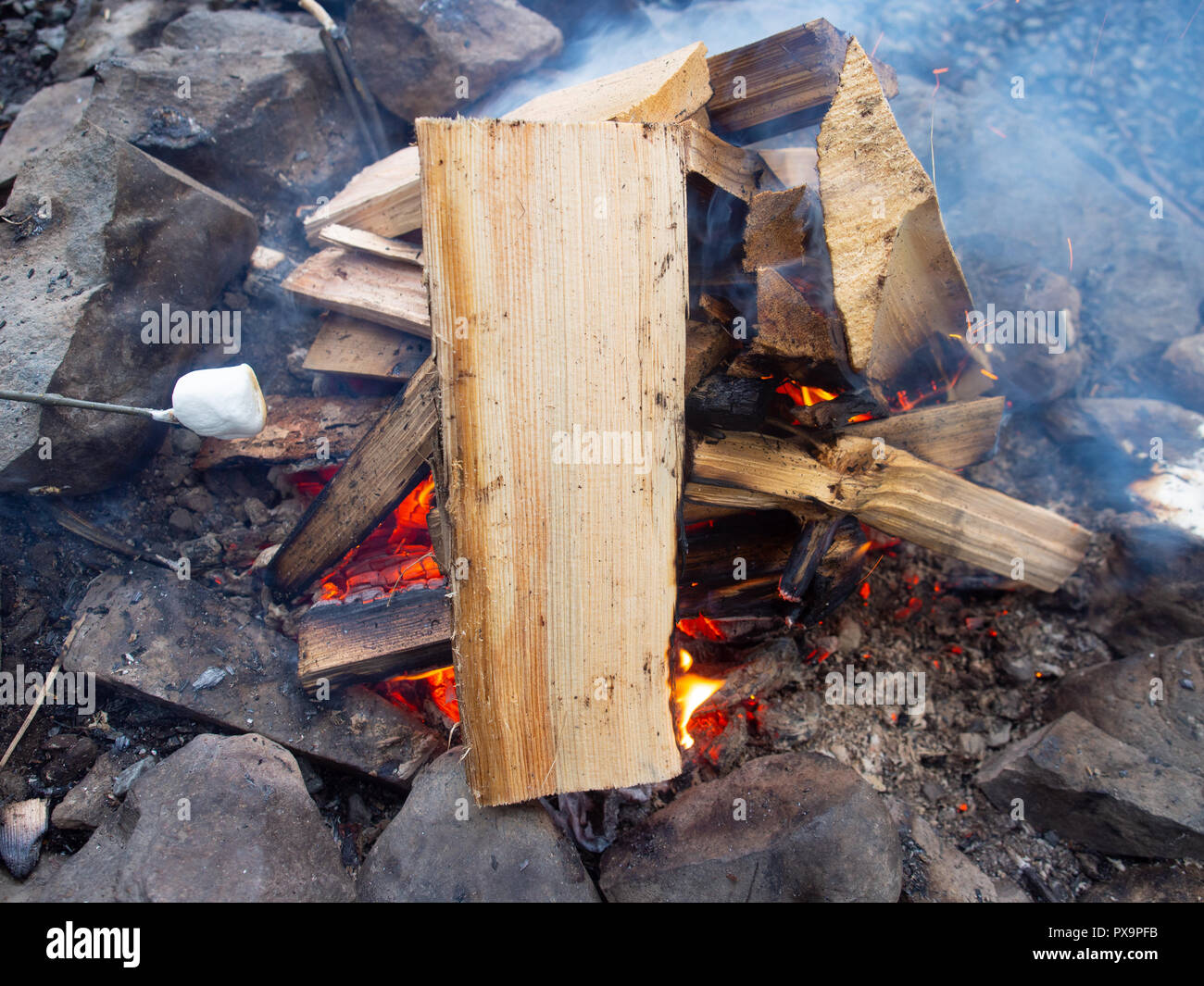 Toasting Marshmallows On A Fire Stock Photo Alamy