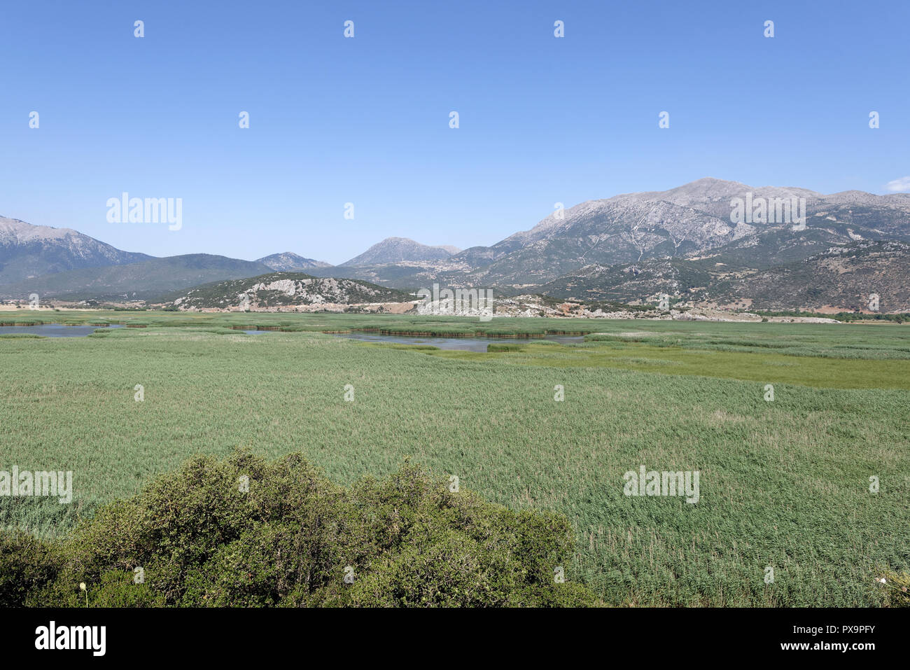 Cyllene hires stock photography and images Alamy