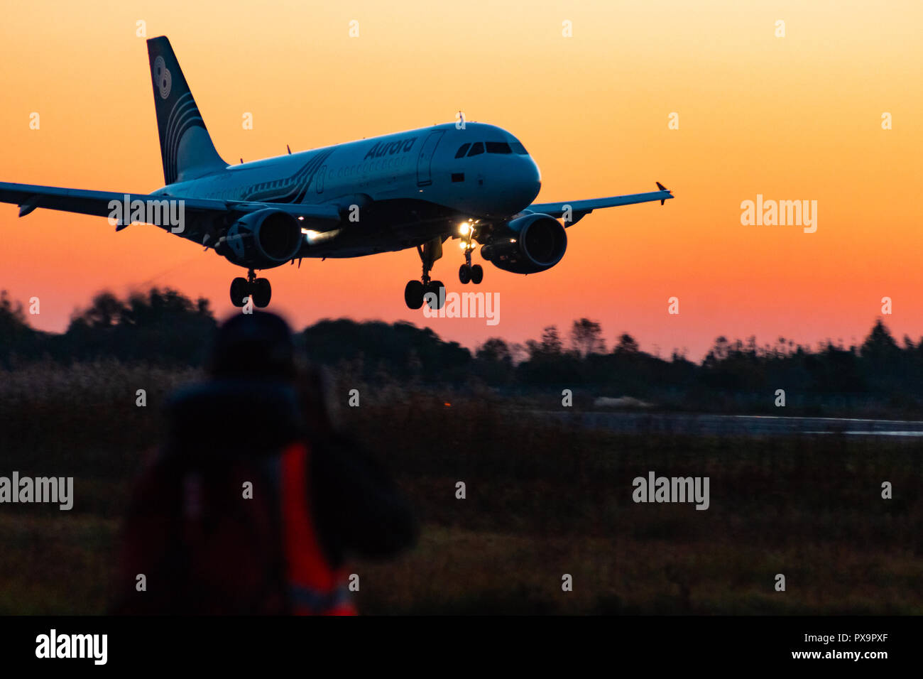 KHABAROVSK, RUSSIA - SEP 29, 2018: Aircraft Airbus A319-111 VP-BBN Aurora airline lands at the airport of Khabarovsk. Photographs landing photographer. Stock Photo