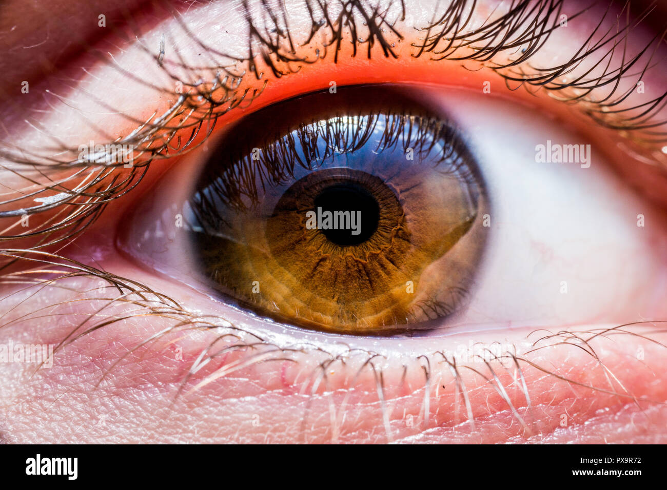 Human eye close up hires stock photography and images Alamy