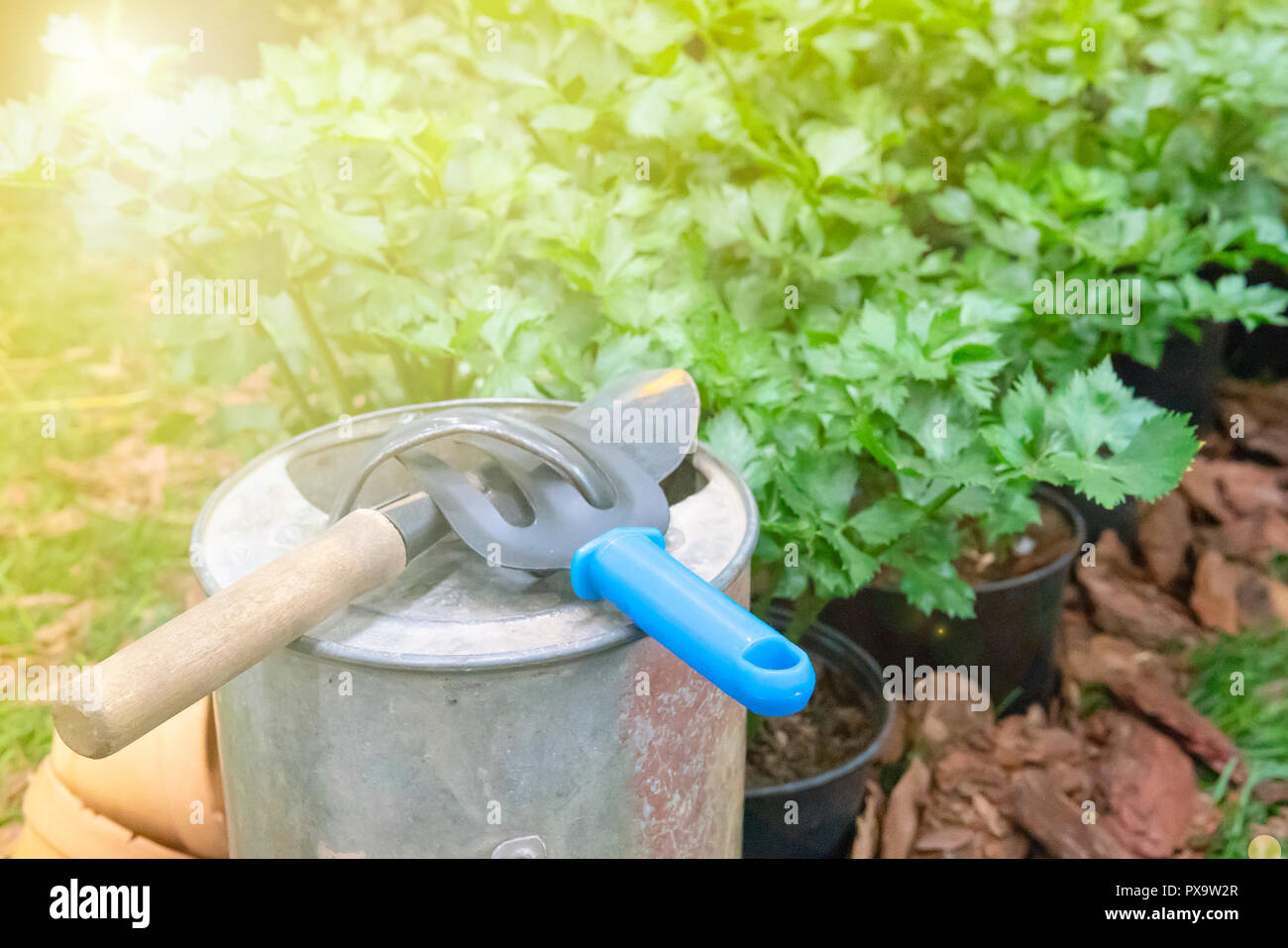 Spade in soil spring hi-res stock photography and images - Alamy