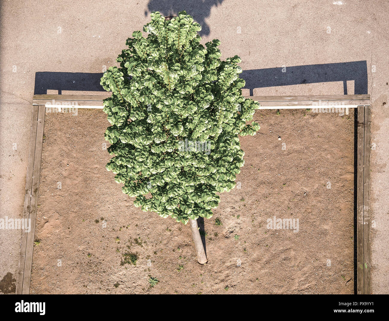 Park in Vienna Stock Photo