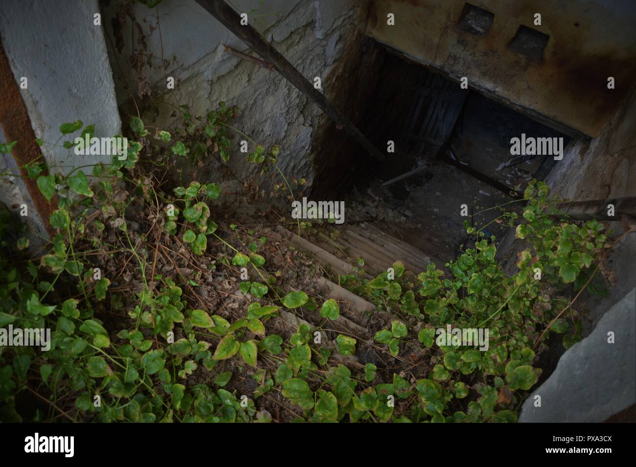 Entry of an abandoned cellar - horroristic scene from above Stock Photo
