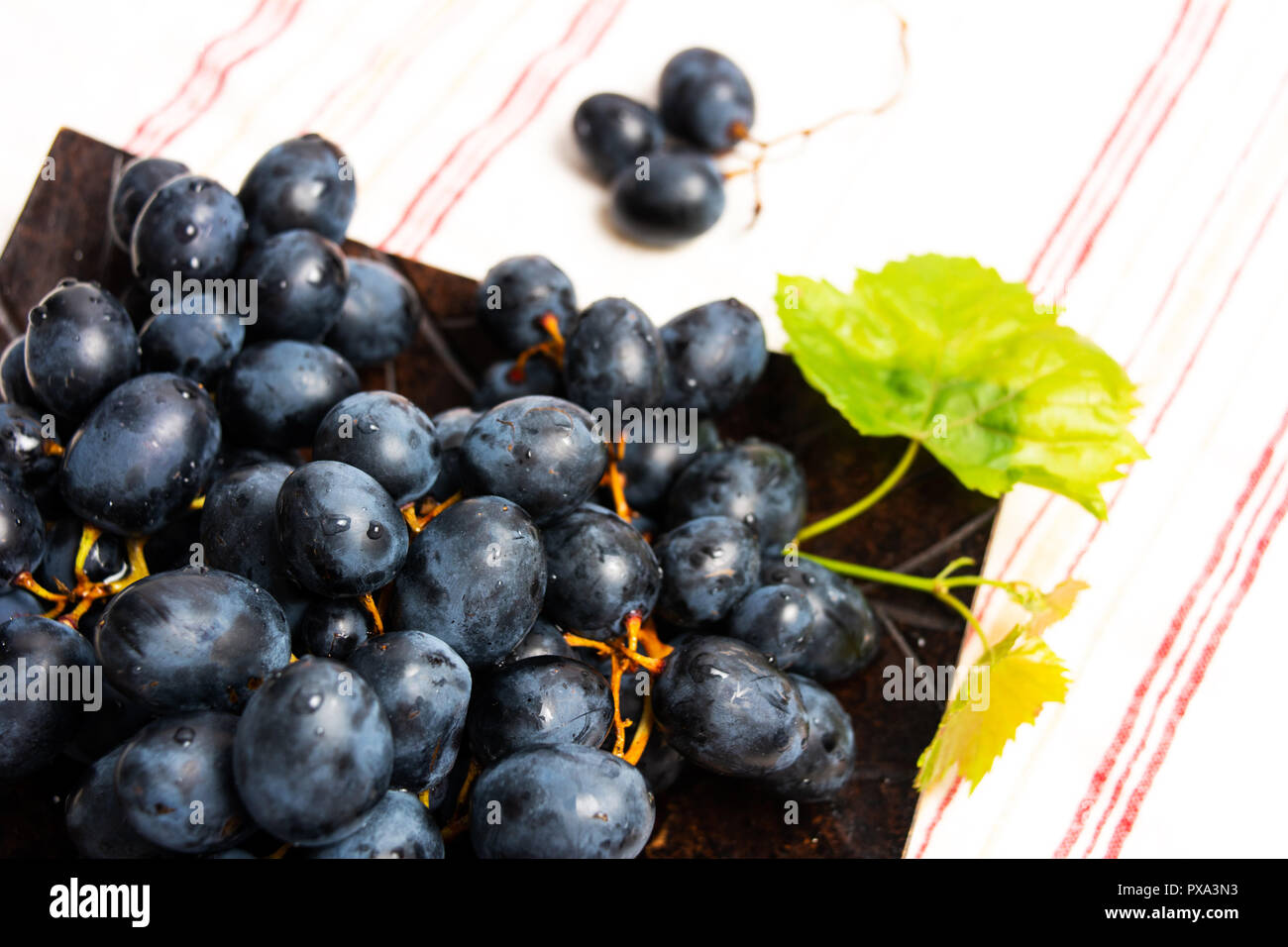 Fresh red grape on a plate top view Stock Photo