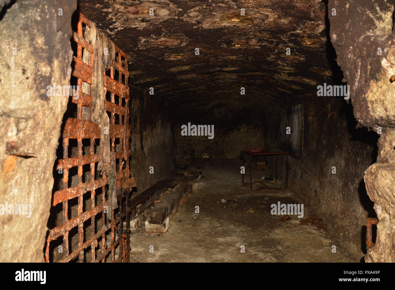 Abandoned cellar with rusty lattice door underground Stock Photo - Alamy