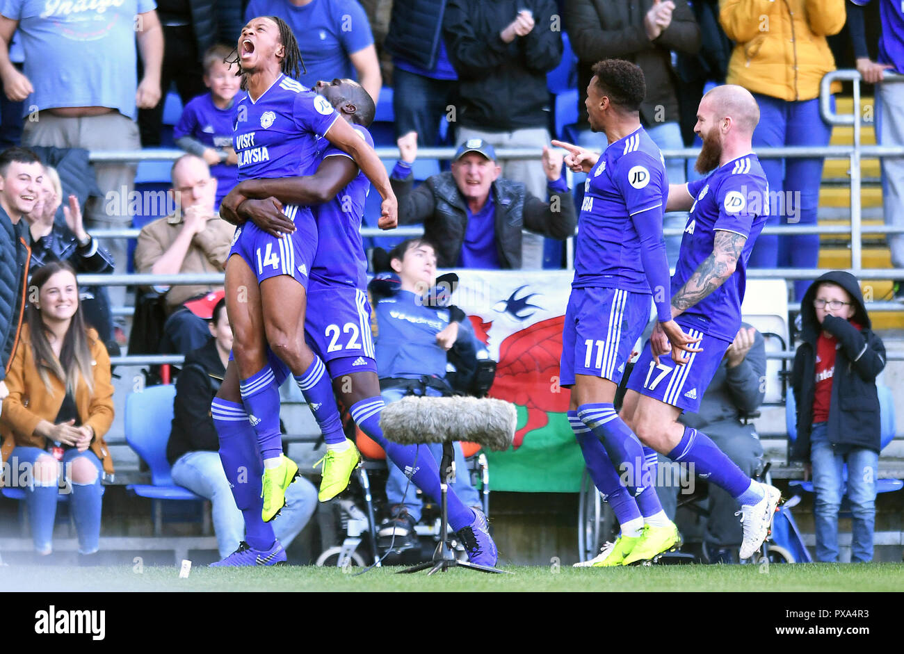 Cardiff City's Bobby Reid (left) celebrates scoring his side's second goal  of the game with team-mates Souleymane Bamba (second left), Josh Murphy,  and Aron Gunnarsson (right) during the Premier League match at