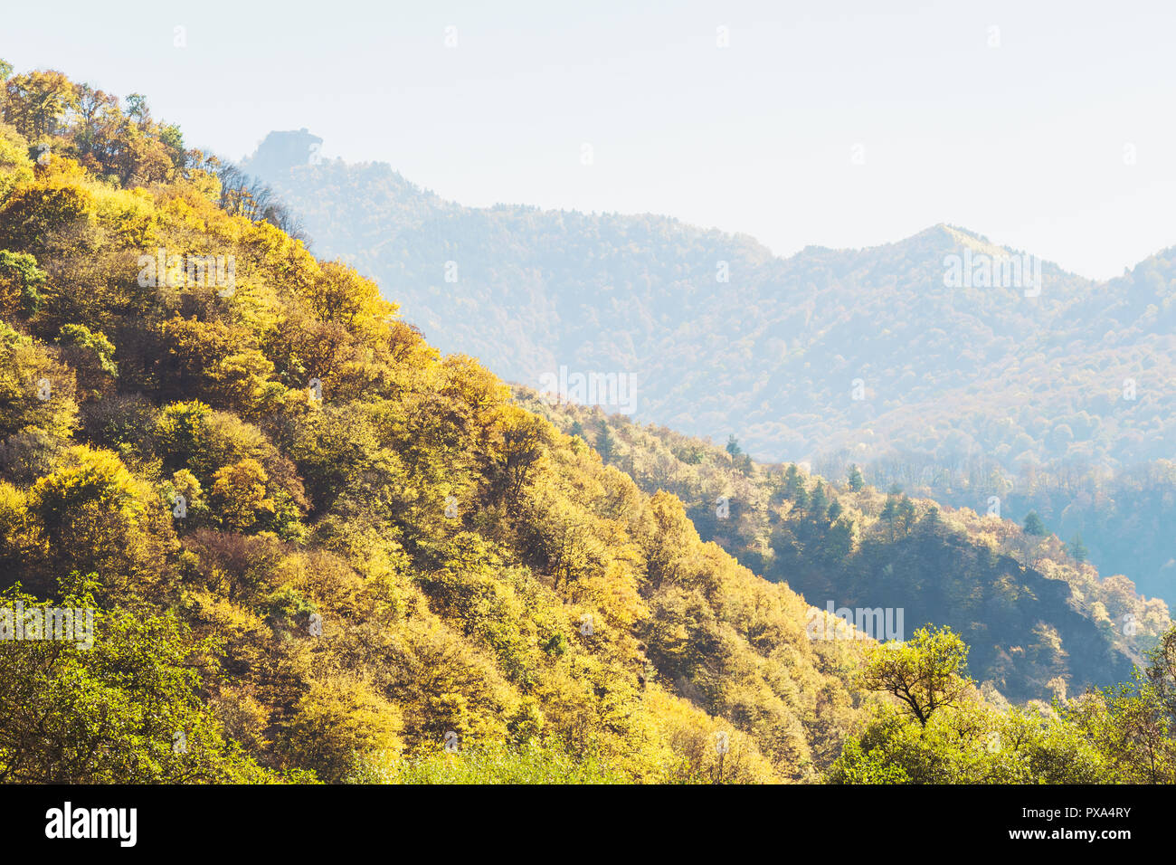 Sunny scene colorful mountains autumn landscape. View of the valley with yellow trees and peaks. Colorful scene of the autumn season. Stock Photo