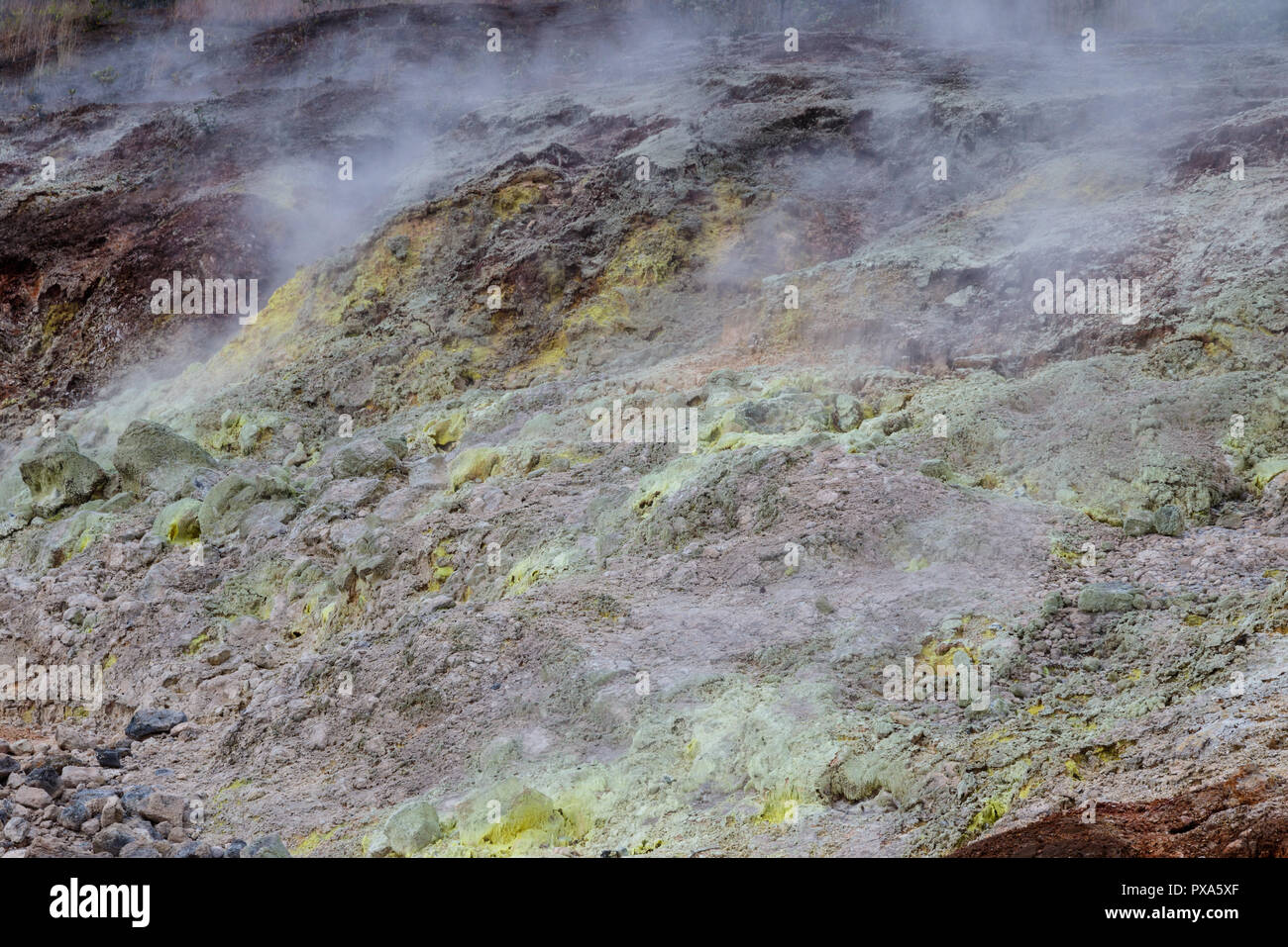 Sulfur Bank in Volcano National Park in Hawaii. Yellow sulfer deposits are on the ground; volcanic gas rise into the air. Stock Photo