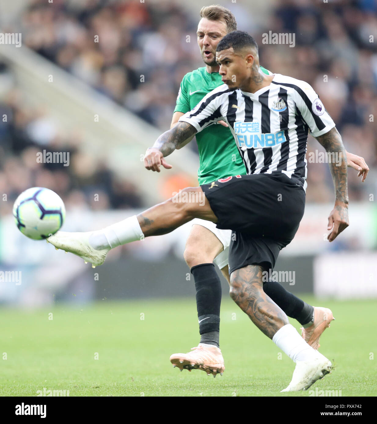 Brighton & Hove Albion's Dale Stephens (left) and Newcastle United's Kenedy battle for the ball during the Premier League match at St James' Park, Newcastle. Stock Photo