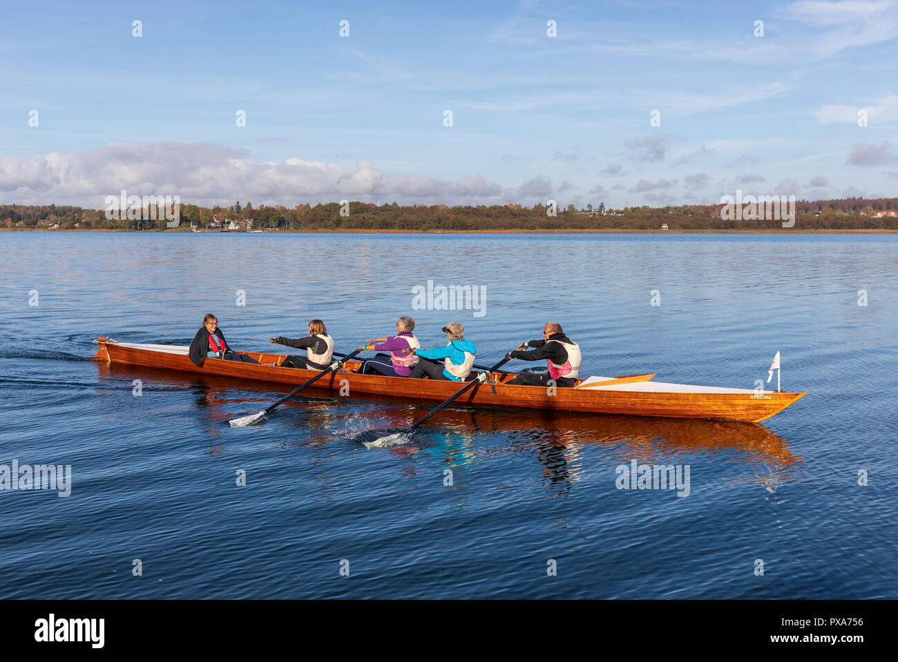 Coxed quadruple scull on Furesoe (Furesø), Denmark Stock Photo