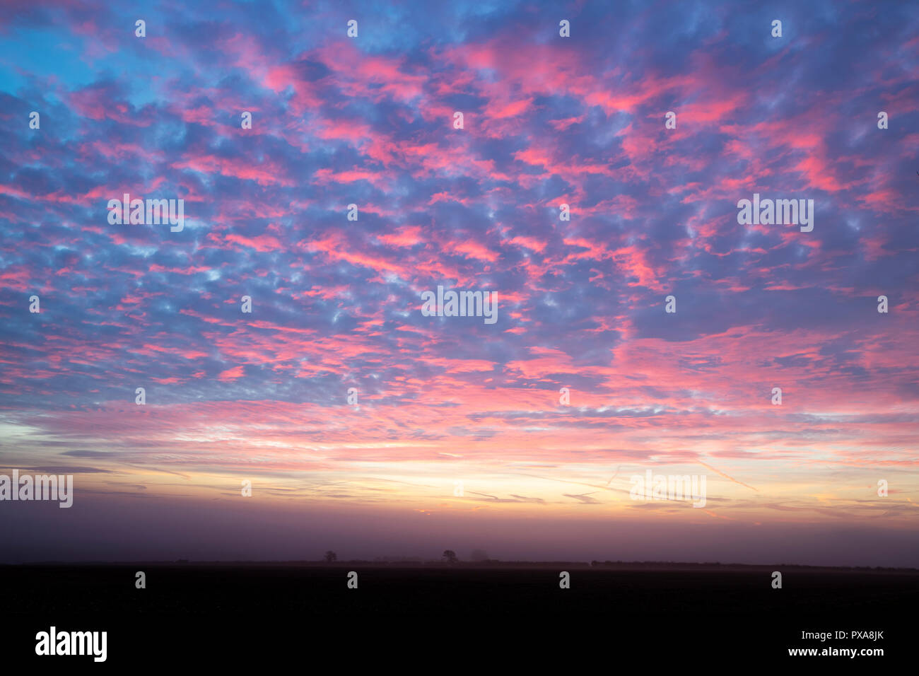 Pink cloudy sky at dawn in october in the cotswold countryside