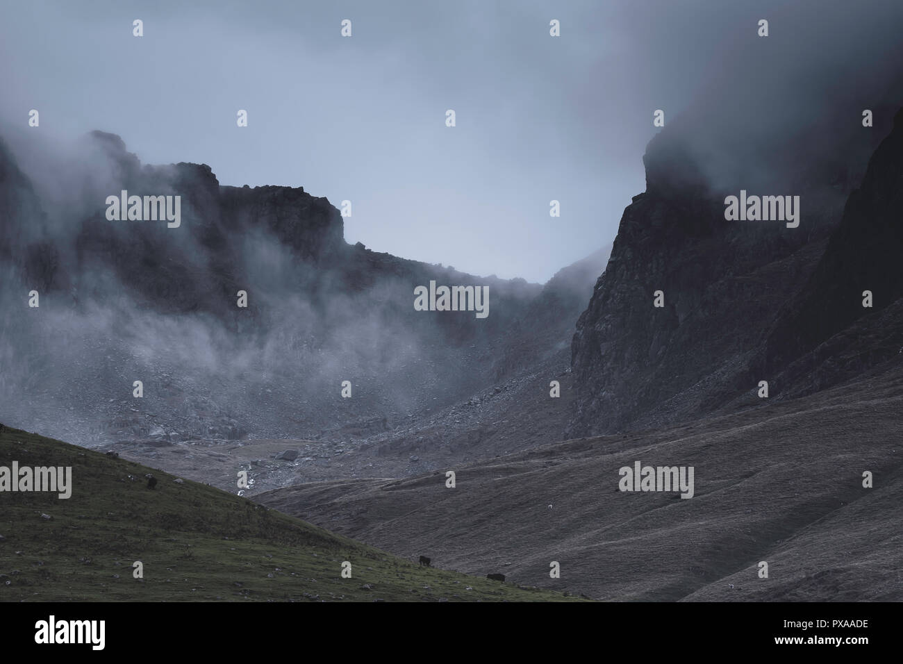 Weather conditions and photography hires stock photography and images