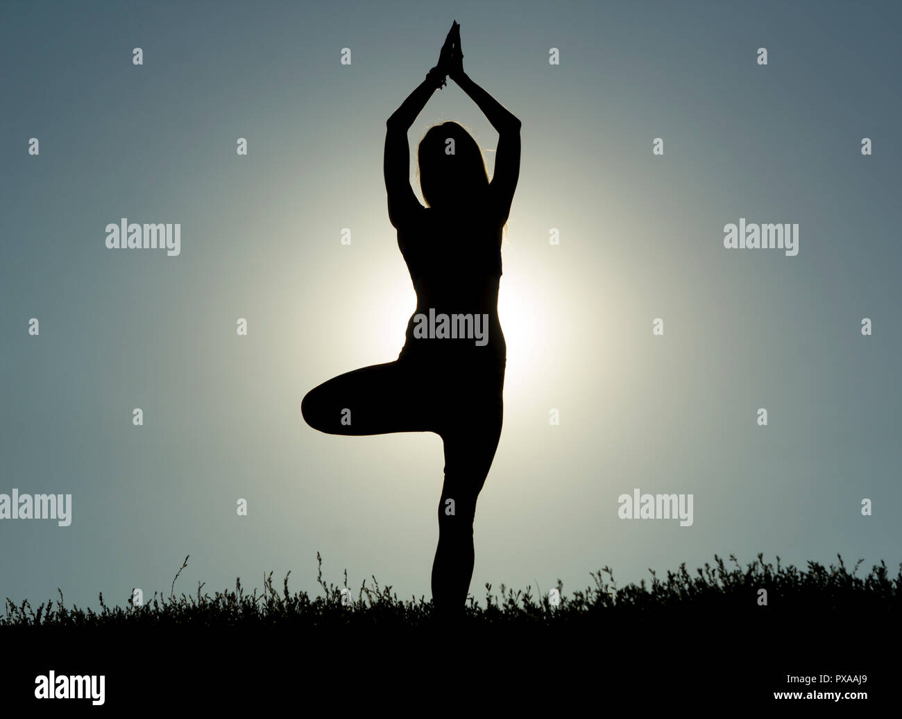 A young woman is meditating in nature. Girl doing yoga in the park. Healthy lifestyle. Stock Photo