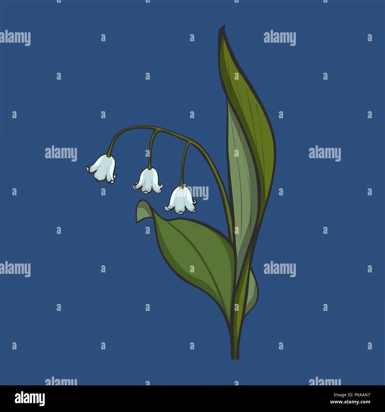 Hand drawn Lily of the valley, vector Stock Vector Image & Art - Alamy